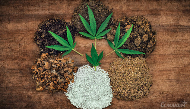 Какие бывают виды субстратов для выращивания конопли Виды субстратов для гровинга марихуаны