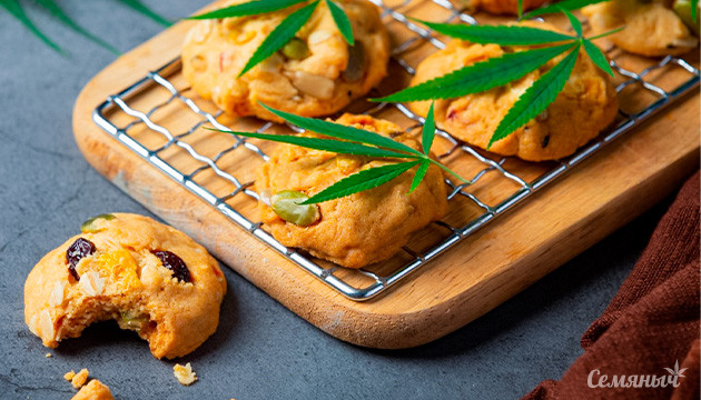 День печенья с Семянычем Празднуем день печенья с Семянычем