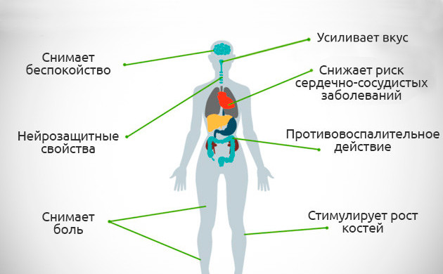 Как действуют коктейли с КБД Терапевтический эффект КБД коктейлей