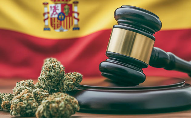 Проблемы закона о марихуане в Испании Неоднозначные нормы каннабиса в Испании