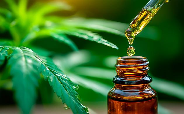 Как КБД работает с эндоканнабиноидной системой для здоровья и расслабления КБД: каннабиноид для снижения стресса и поддержания баланса организма