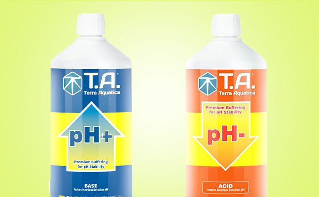 Удобрения для DWC: как избежать ошибок в подкормке конопли