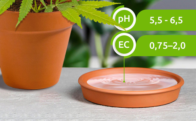 Уровень pH и ЕС дренажа