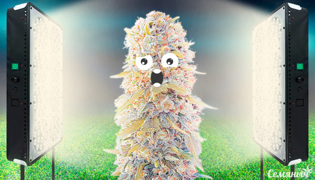 Переизбыток освещения