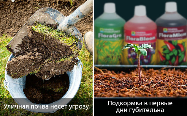 Удобрение проблемной почвы