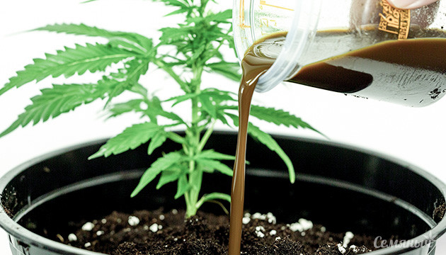Экологичные удобрения для конопли Питание конопли