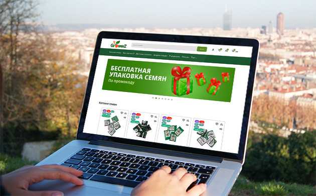 GroverZ: Качественные семена от прямого поставщика