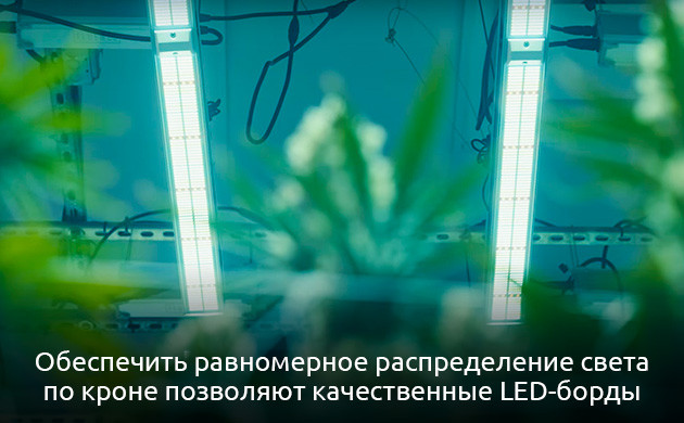Равномерное освещение растений Предотвращение горячих точек света