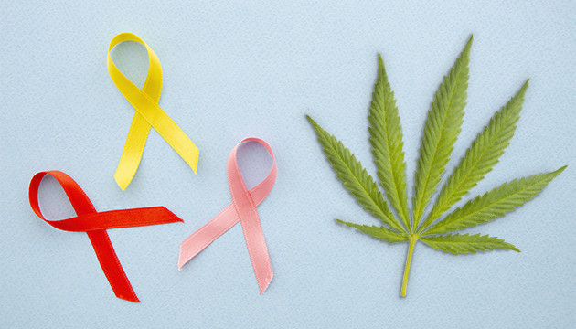 Раковые заболевания