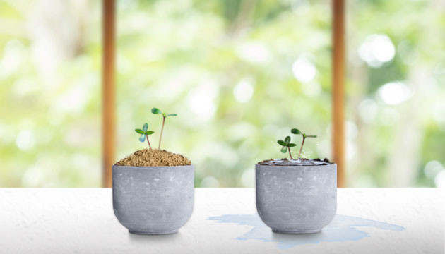 Ошибки в поливе Перелив или недолив