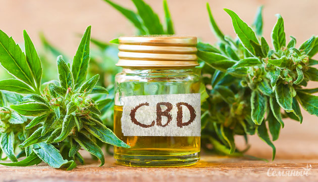 Концентрат CBD