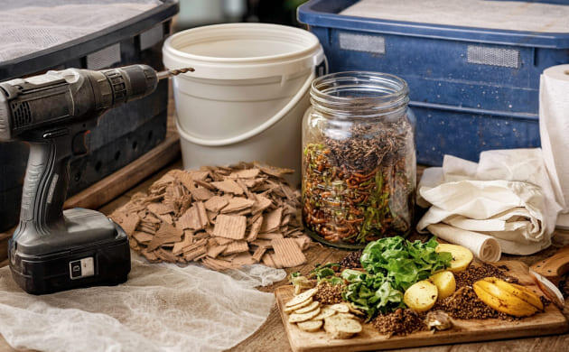 Создание домашней вермифермы Домашняя вермиферма