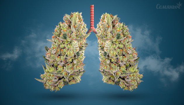 Марихуана и легкие