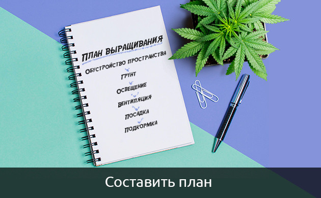 Планирование в выращивании автоцветущей марихуаны Планирование при выращивании автоцветущей конопли