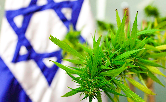 Легализация конопли в Израиле Легализация марихуаны в Израиле