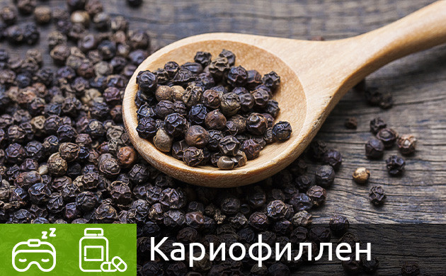 Терпен кариофиллен