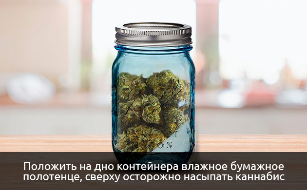 Положить соцветия и влажное бумажное полотенце в герметичный контейнер Герметичная банка, полотенце и соцветия