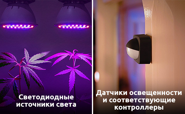 Crop Steering и LED освещение