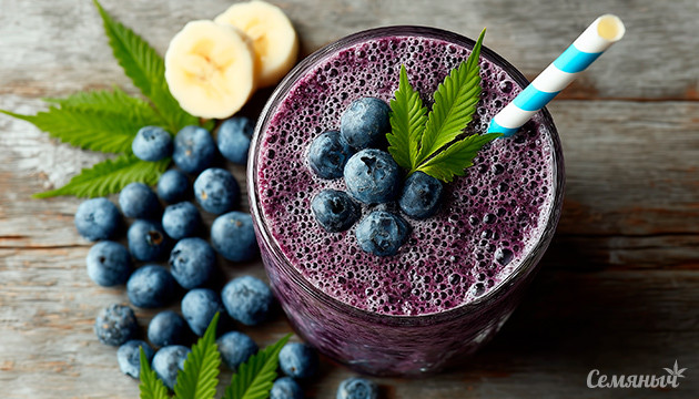 Конопляный смузи с черникой