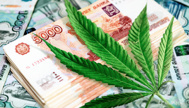 Легальные способы заработка на конопле