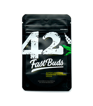 Grapefruit auto fem (FastBuds)