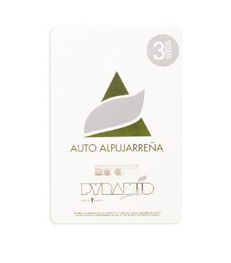 Auto Alpujarrena fem (Pyramid Seeds)