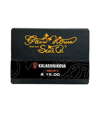 Kalashnikova fem (GHS)