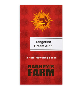 Tangerine Dream Auto fem (Barney's Farm)