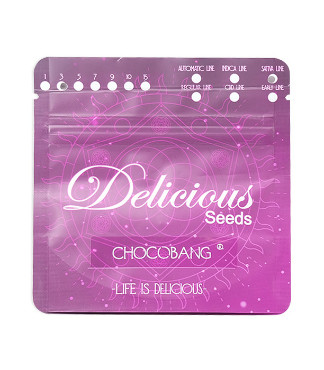 Chocobang fem (Delicious Seeds)