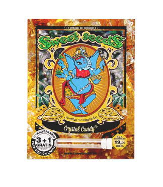 Crystal Candy fem (Sweet Seeds)