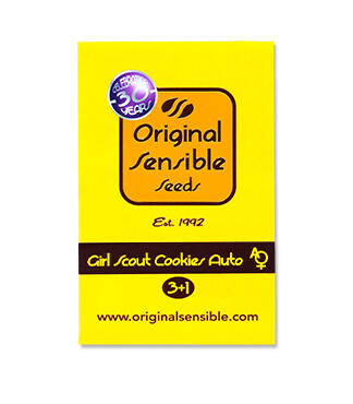 Girl Scout Cookies Auto fem (Original Sensible Seeds)