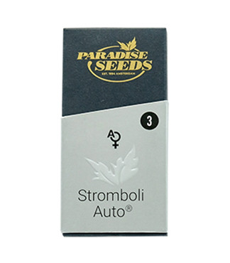 Stromboli Auto fem (Paradise Seeds)