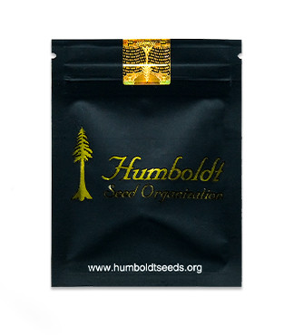 Runtz Fast Flowering fem (Humboldt Seed Organization)