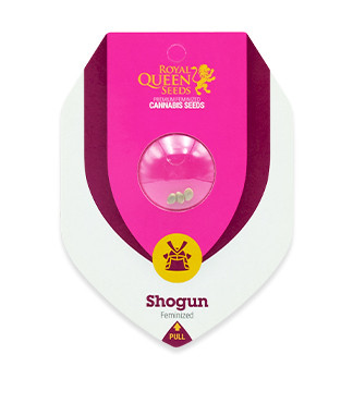 Shogun fem (RQS)