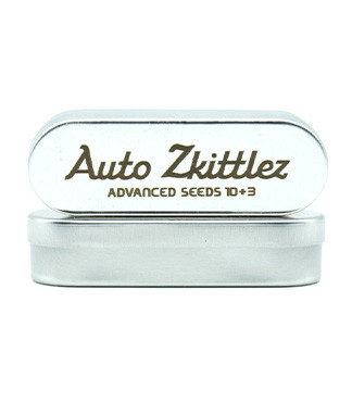 Auto Zkittlez fem (Advanced Seeds)