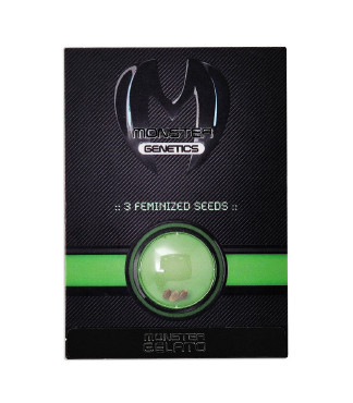 Monster Gelato fem (Monster Genetics)