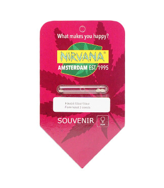 Hawaii Maui Waui fem (Nirvana Seeds)