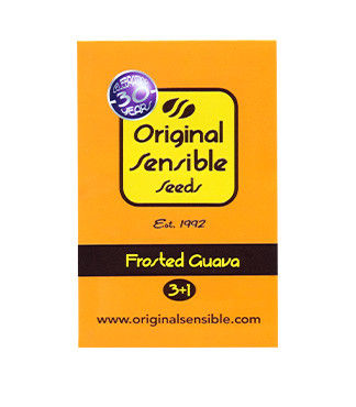 Frosted Guava fem (Original Sensible Seeds)