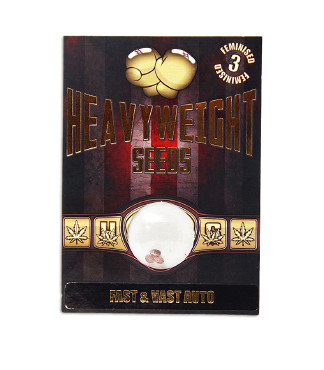 Fast & Vast Auto fem (Heavyweight Seeds)