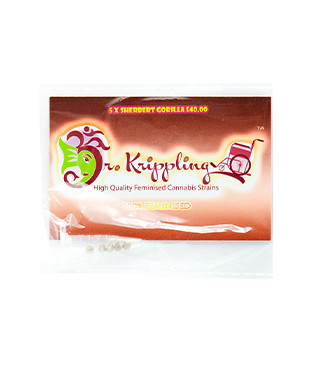 Sherbert Gorilla fem (Dr. Krippling Seeds)