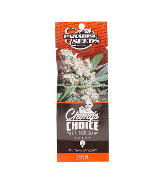 L.A. Amnesia fem (Paradise Seeds)