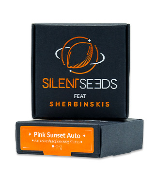 Pink Sunset Auto by Sherbinskis fem (Silent Seeds)