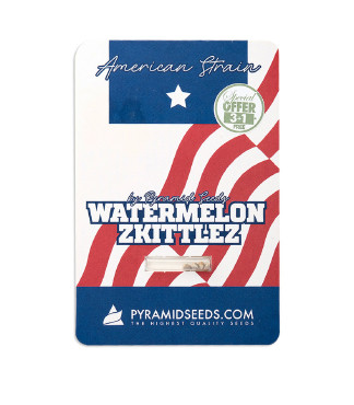 Watermelon Zkittlez fem (Pyramid Seeds)