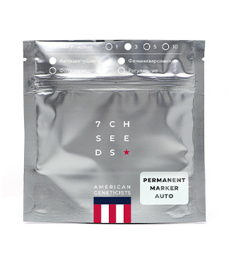 Permanent Marker Auto fem (7CH American)