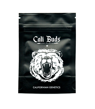 Zkittlez Auto fem (Cali Buds Seeds)