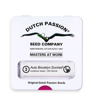 Auto Brooklyn Sunrise fem (Dutch Passion)