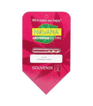 AK 48 fem (Nirvana Seeds)