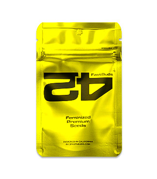 Lemonpaya fem (FastBuds)