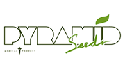 Pyramid Seeds
