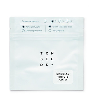 Special Tangie Auto fem (Семяныч)